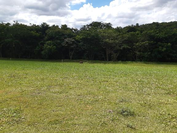 Terreno Protestantes Votorantim 