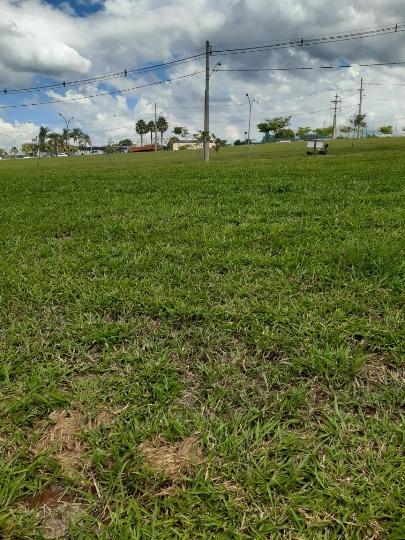 Terreno Protestantes Votorantim 