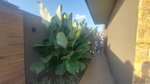 Casa Parque Ecoresidencial Fazenda Jequitibá Sorocaba 