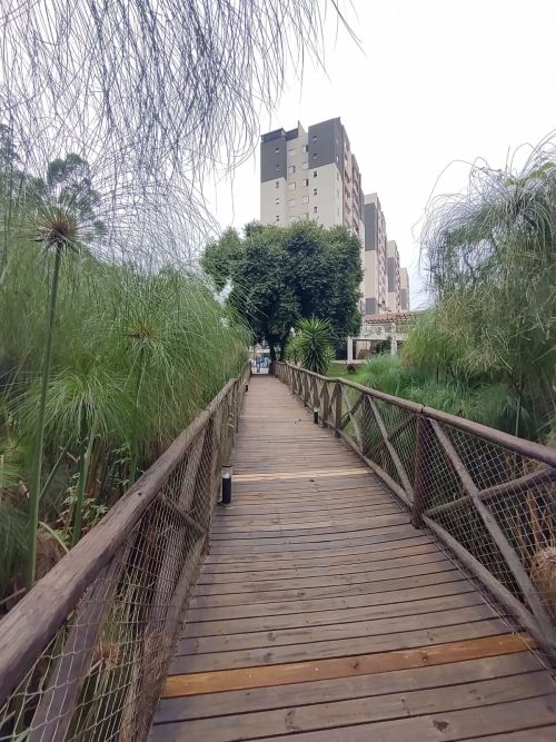 Apartamento Aparecidinha Sorocaba 