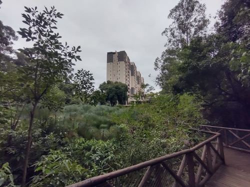 Apartamento Aparecidinha Sorocaba 