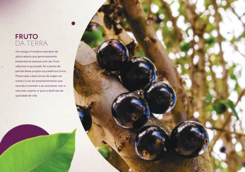 Apartamento Jardim Maria do Carmo Sorocaba