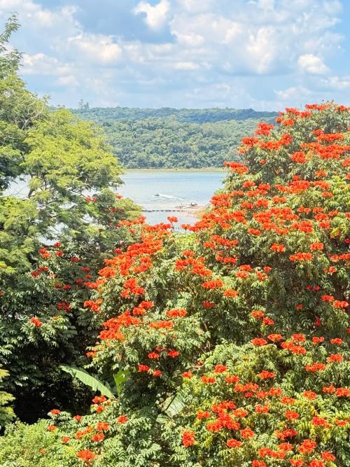 Alto Padrão  Piedade 