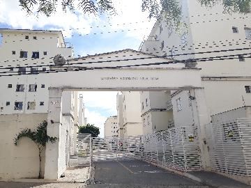 Apartamento Jardim Guadalajara Sorocaba 